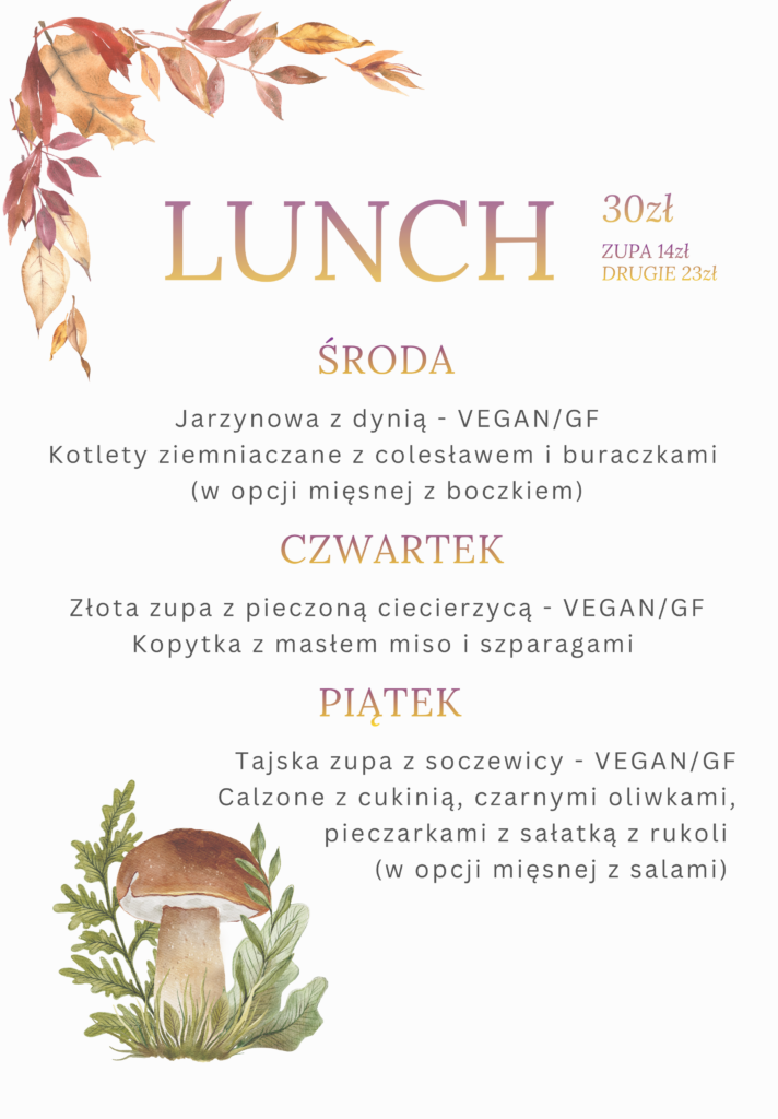 DANIA DNIA 12-14.11.2025, RÓWNIEŻ Z DOWOZEM!